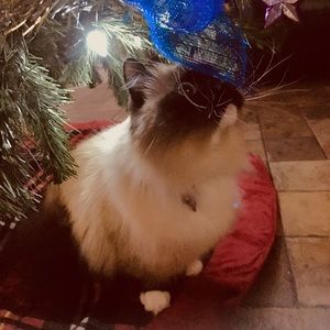 Meet your Posher, Cindy